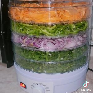 Food Dehydrater
